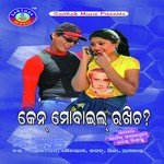 Prafulla Mirdha Songs MP3 Download